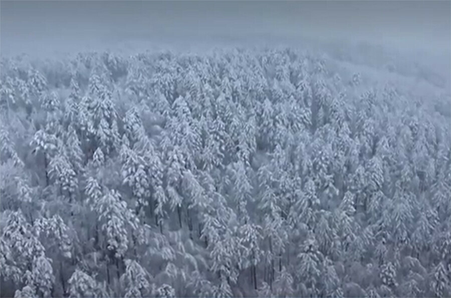 Первый снег выпал рядом с Амурской областью Намело сугробы видео