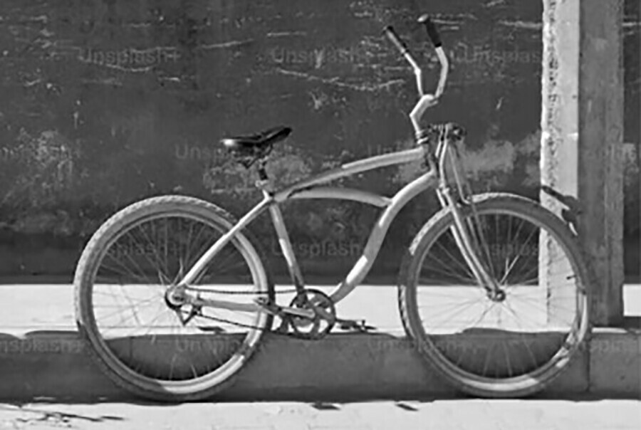 Благовещенский вор сам вернул украденный транспорт 