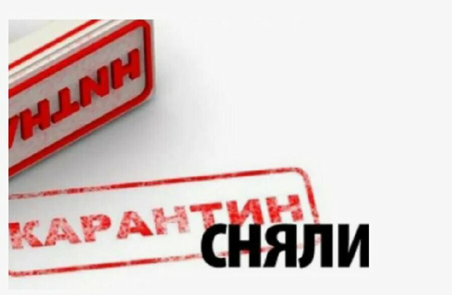 Карантин по особо опасному заболеванию сняли в двух амурских селах 