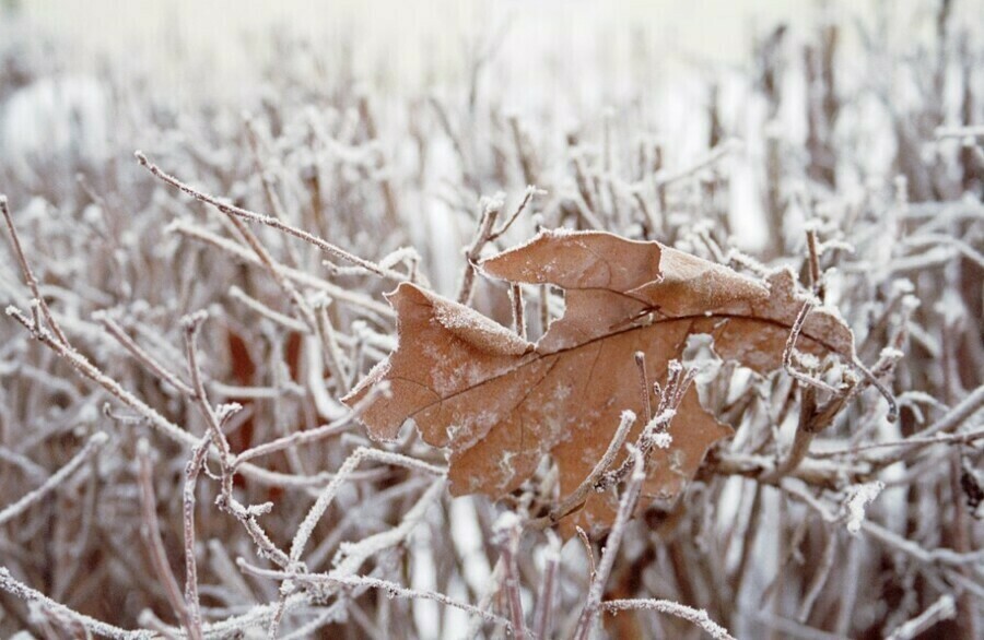 Местами до минус 15 воскресенье не порадует амурчан теплом и солнцем 