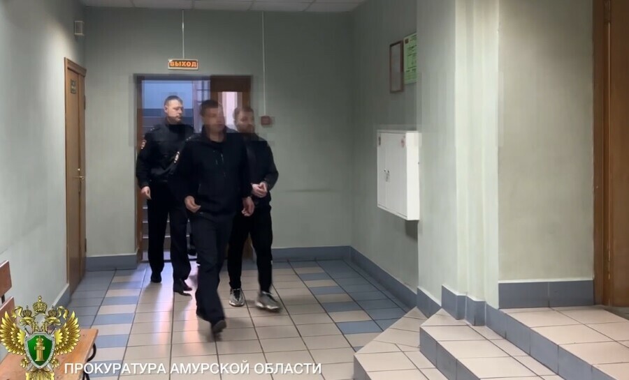 В Благовещенске вынесли приговор преступной группе похитившей миллионные сбережения преподавателя видео 