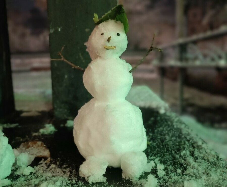 В Свободном после первого снега появилась армия снеговиков