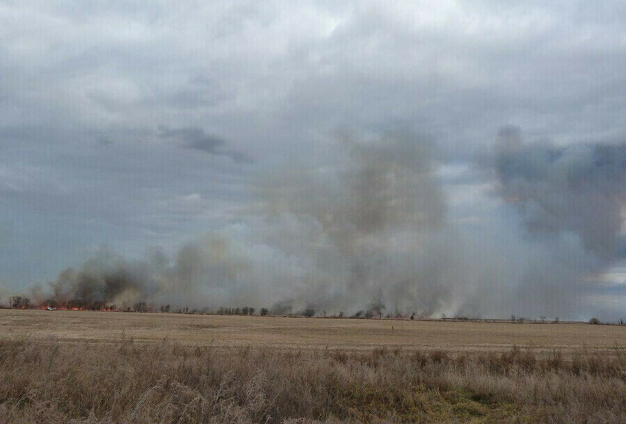 В заказниках Амурской области птичьи квартиры готовят к пожароопасному сезону