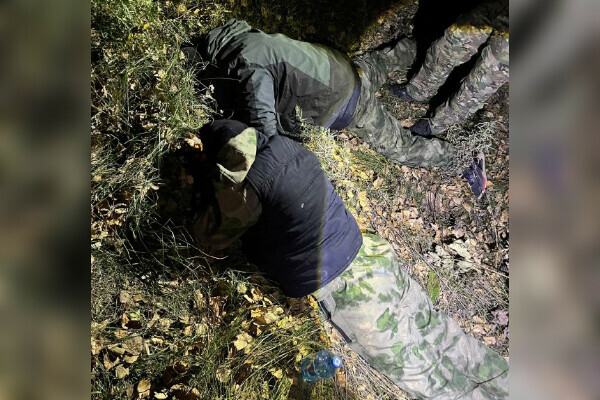 Усилия амурских полицейских сидевших в засаде у тайника с коноплей не пропали даром