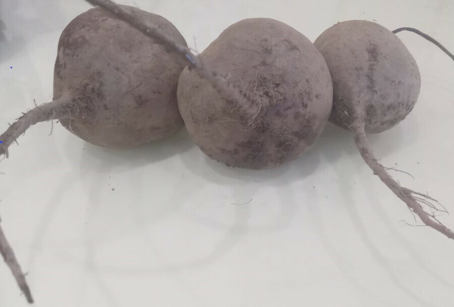 Подешевели свекла и микроволновки подорожали машины и водка о ценах сентября рассказали в Амурстате