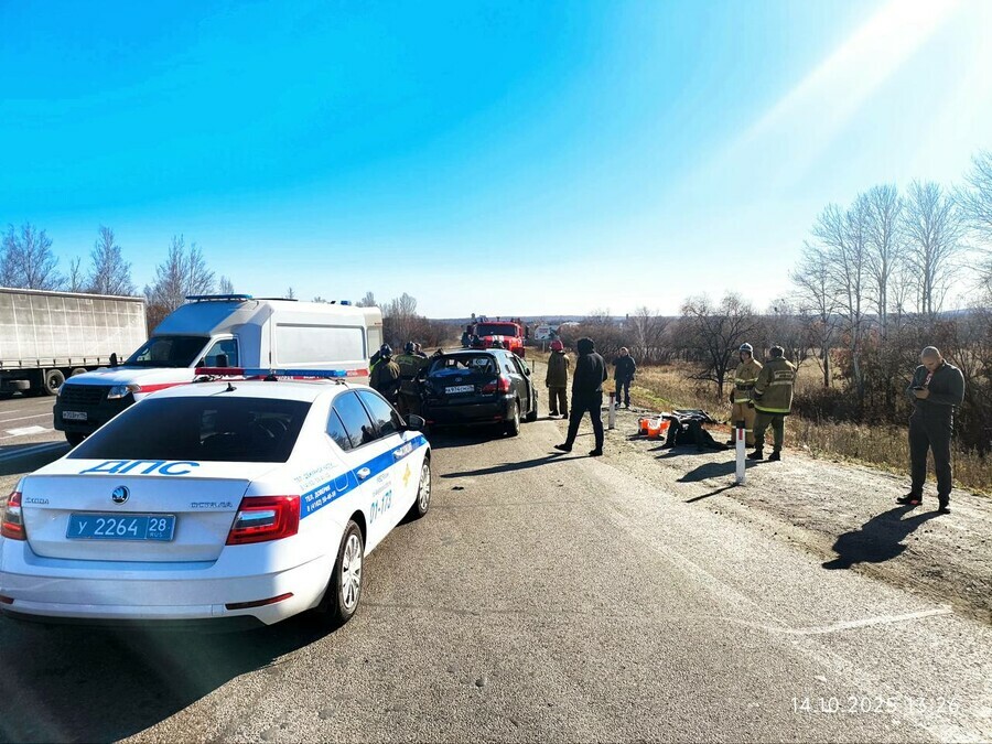 Полиция устанавливает обстоятельства жесткого ДТП на федеральной трассе в Амурской области