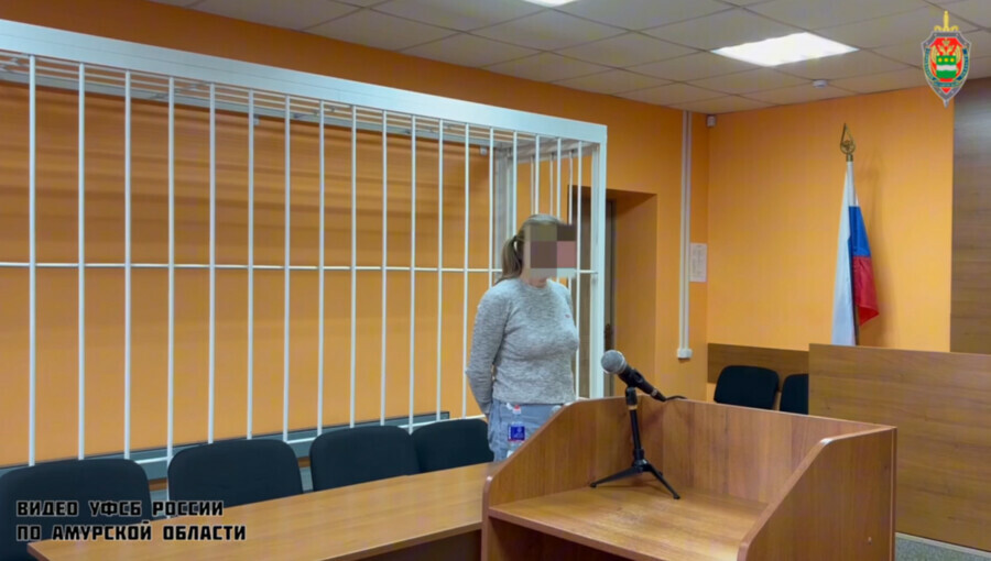 Жительницу Приамурья признали виновной в оправдании терроризма Основанием стали сообщения в соцсетях видео