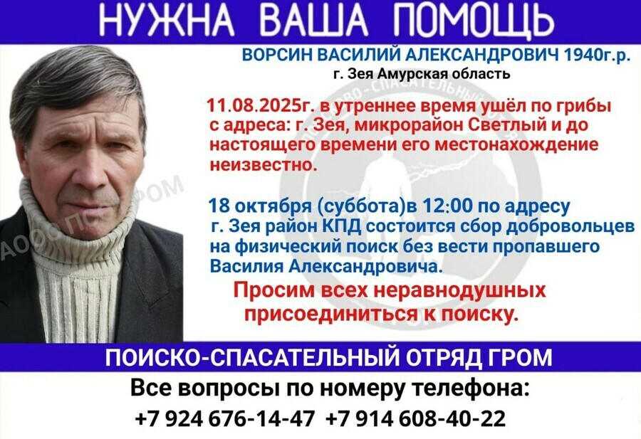 В Зее возобновляют поиски пропавшего грибника Гром собирает людей