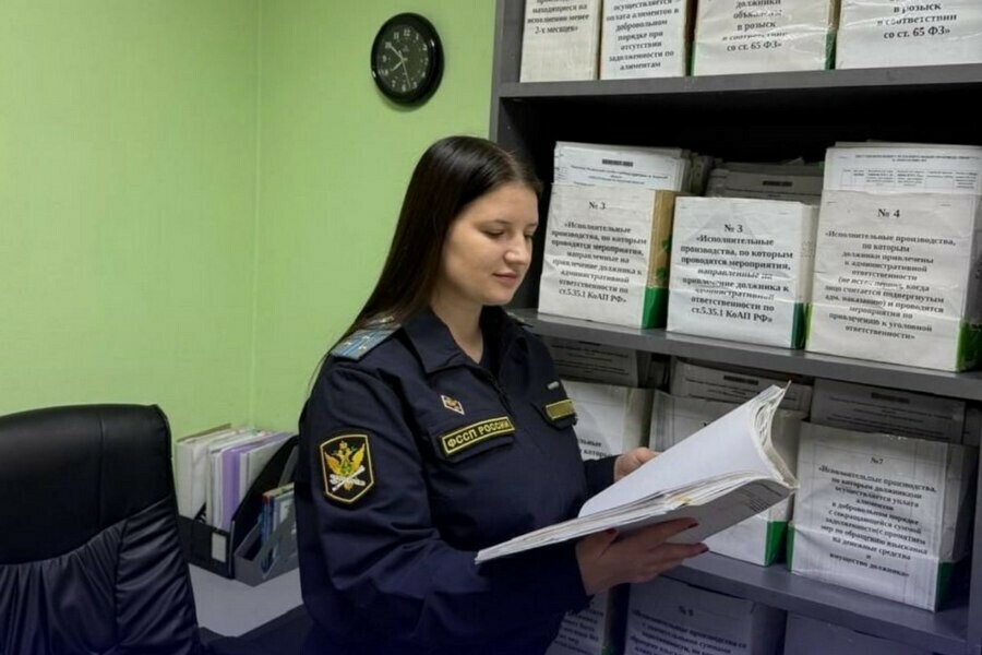 Благовещенец заплатил алименты чтобы продать квартиру 