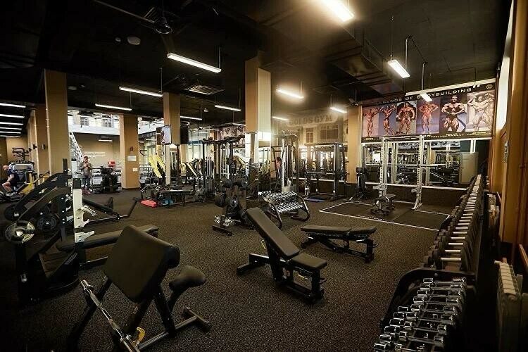 От молодого клуба до крупного регионального игрока как Golds Gym Blagoveshchensk меняет отношение к спорту