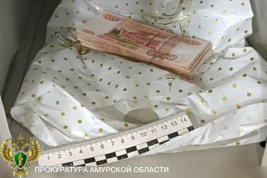 Иностранец оставил в камере хранения одного из супермаркетов Благовещенска крупную сумму Деньги оказались не чистыми фото 
