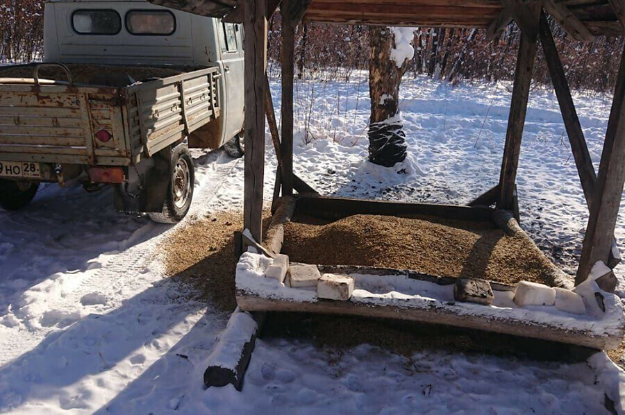В лесах Амурской области открывают специальные столовые