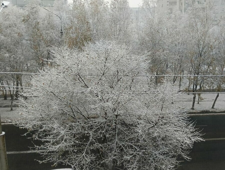 В Благовещенске выпал снег Водителей и пешеходов призывают быть осторожнее