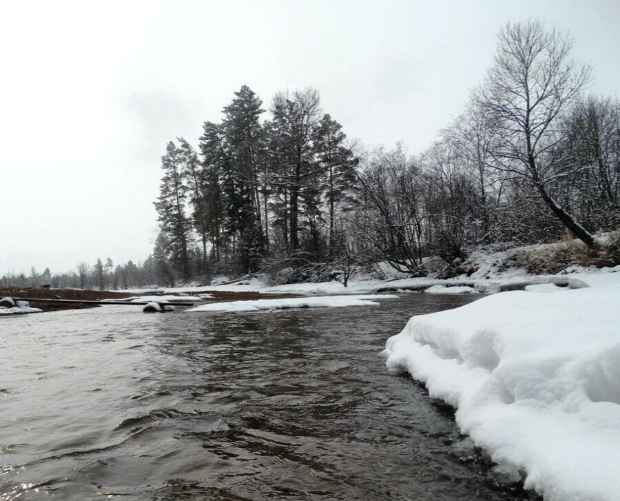Амурские ученые рассказали об источнике в котором вода прогревается выше 43 градусов и лечит болезни