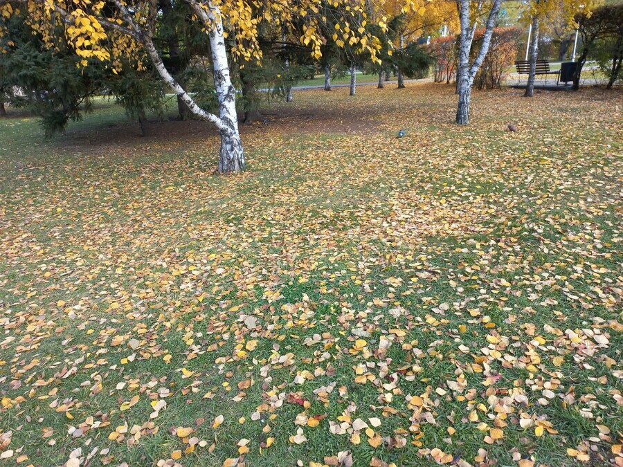 Прогноз погоды в Амурской области на 30 октября