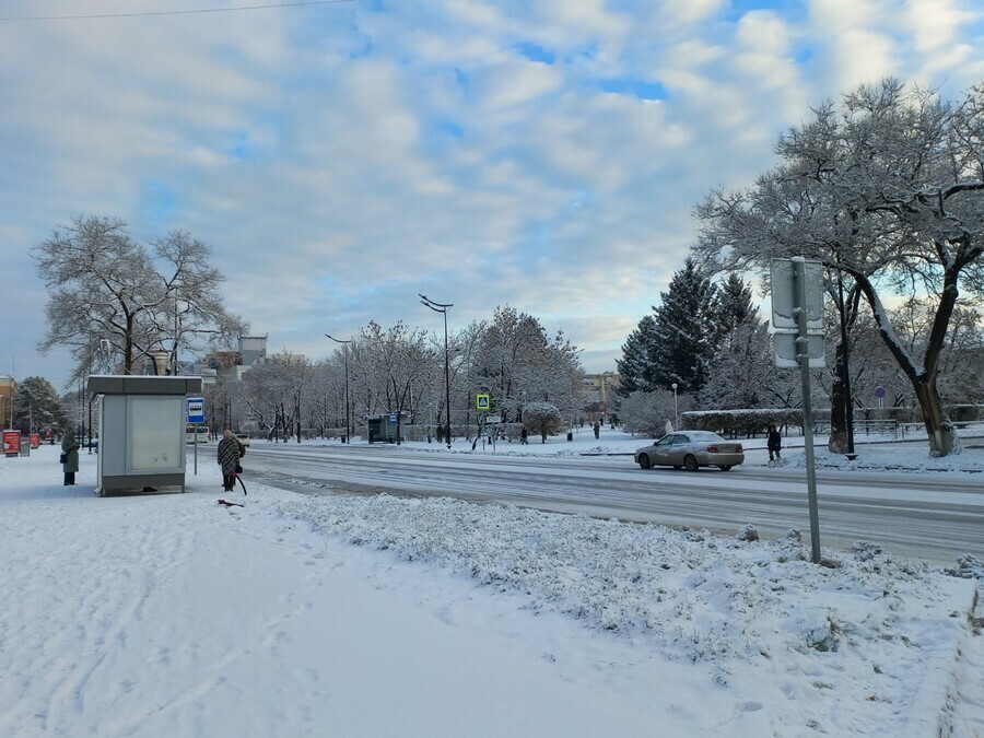 Берегите себя и своих близких в связи с погодой мэр обратился к благовещенцам