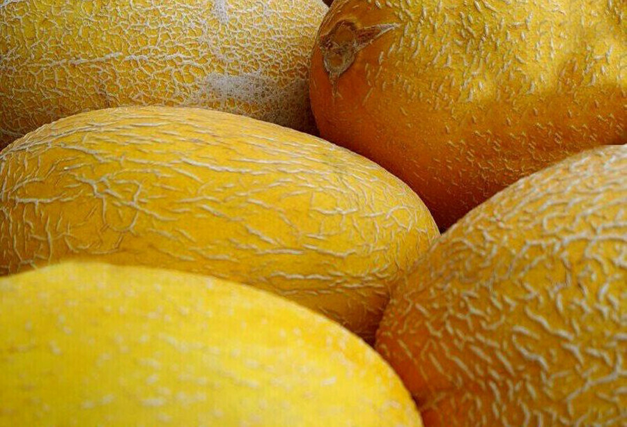 Дыни хурма и морковь поставки овощей и фруктов в Приамурье из Китая растут