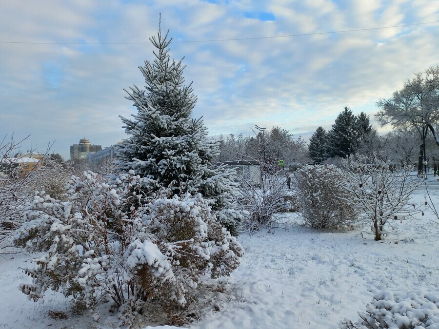 Прогноз погоды в Амурской области на 2 ноября