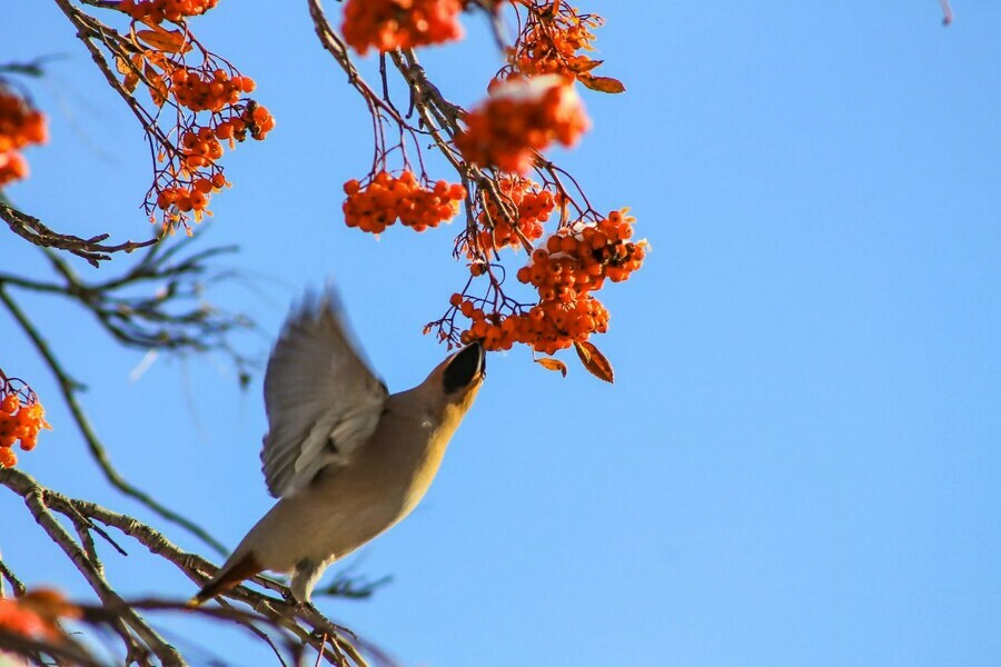 Снег принесет небольшое потепление прогноз погоды на 4 ноября
