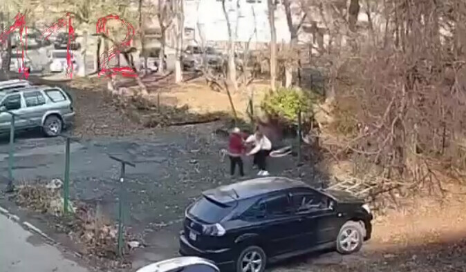 Пенсионерка напала с бревном на соседок и укусила одну из них