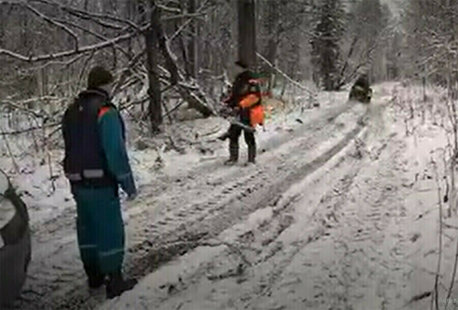 Бегство браконьеры или семейная драма шокконтент о семье пропавшей в тайге месяц назад