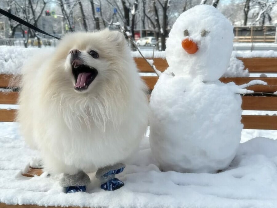 Туман снег местами минус 30 погода в Амурской области 5 ноября