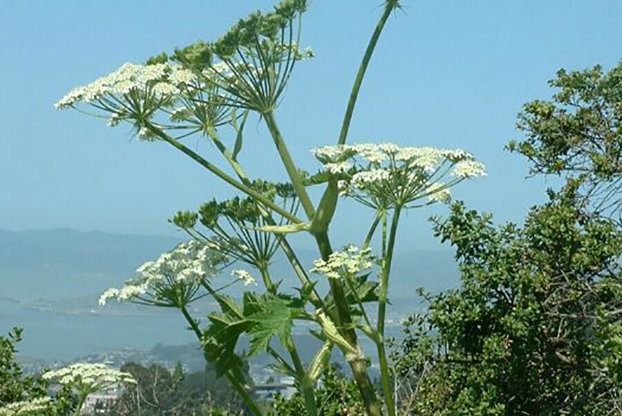 Владельцев дачных участков ждут новые штрафы до 700 тысяч рублей