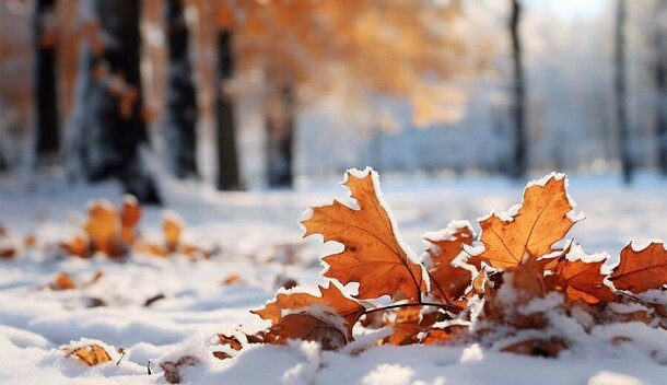 Прогноз погоды в Амурской области на субботу 8 ноября