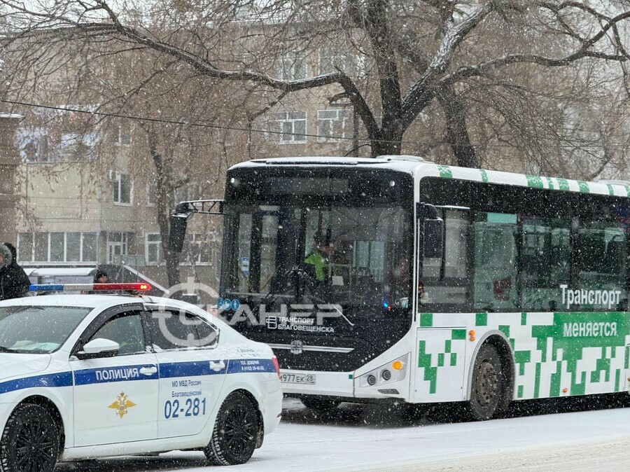 Благовещенка получила травму в автобусе
