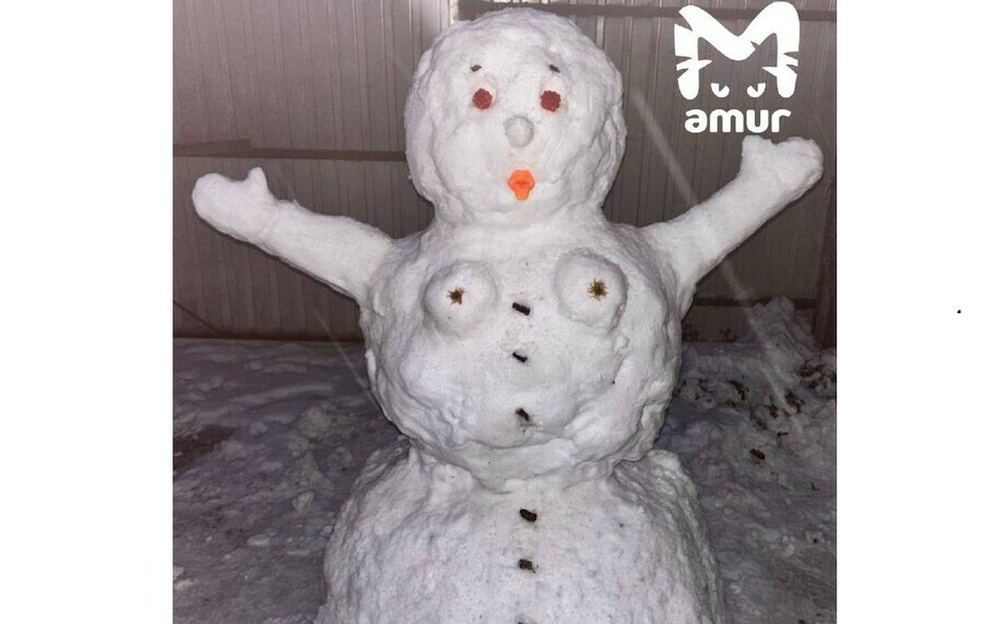 Выставку снеговиков на любой вкус открыли дальневосточники фоторепортаж