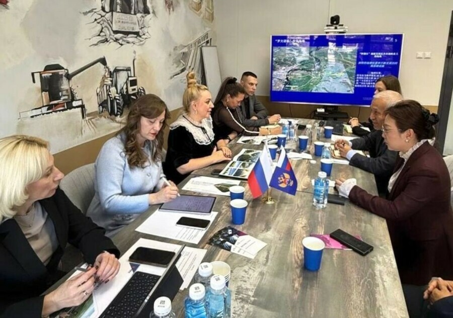 На совещании в Благовещенске крупная китайская компания предложила построить канатную дорогу для перевозки угля в Китай