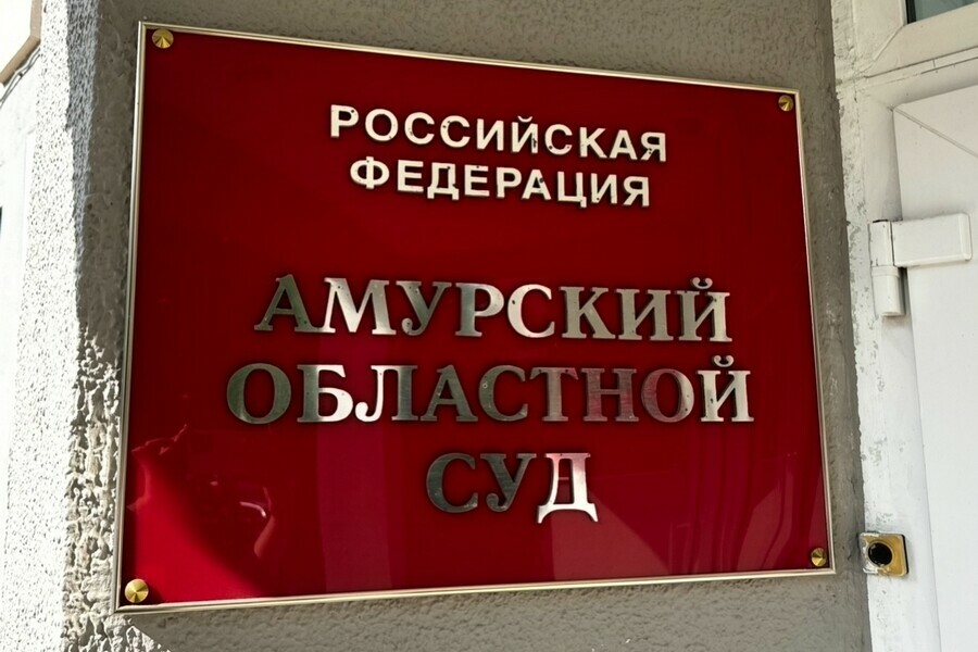 Вдову участника СВО в Приамурье отправят за решетку 