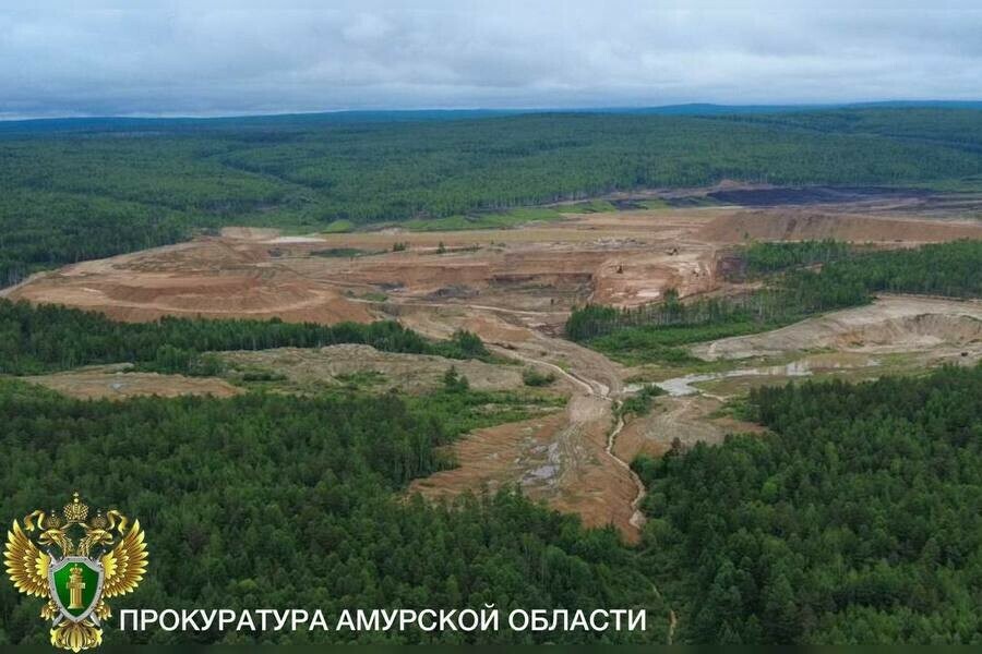 Недобросовестных недропользователей выявили в Приамурье фото 