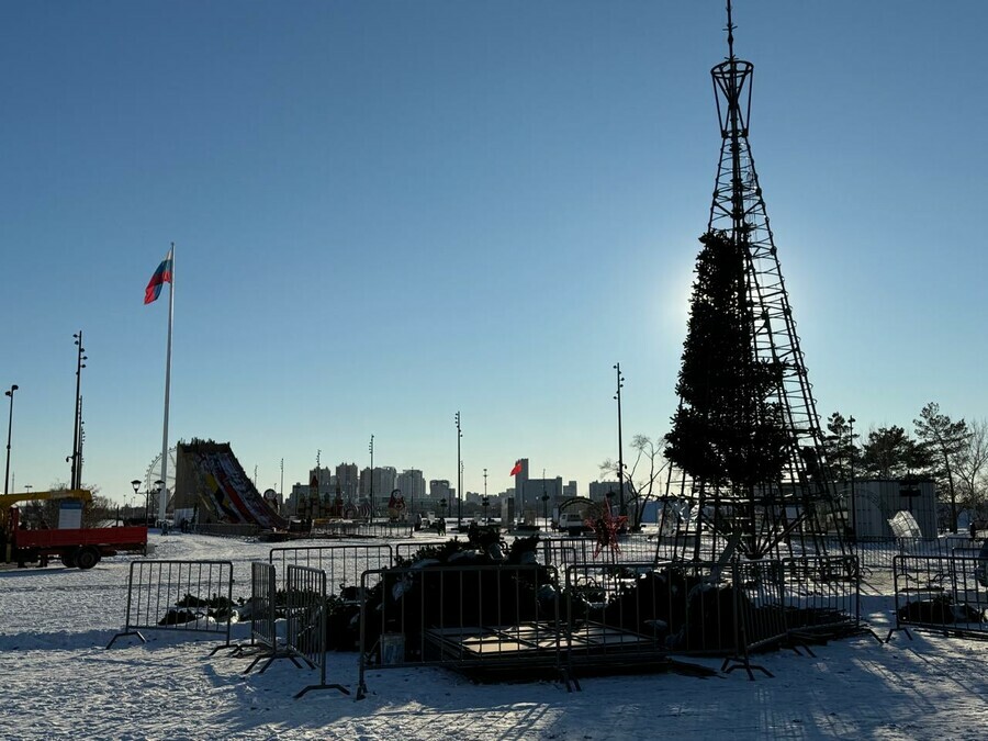 В Благовещенске за полтора месяца до Нового года устанавливают главную праздничную ель