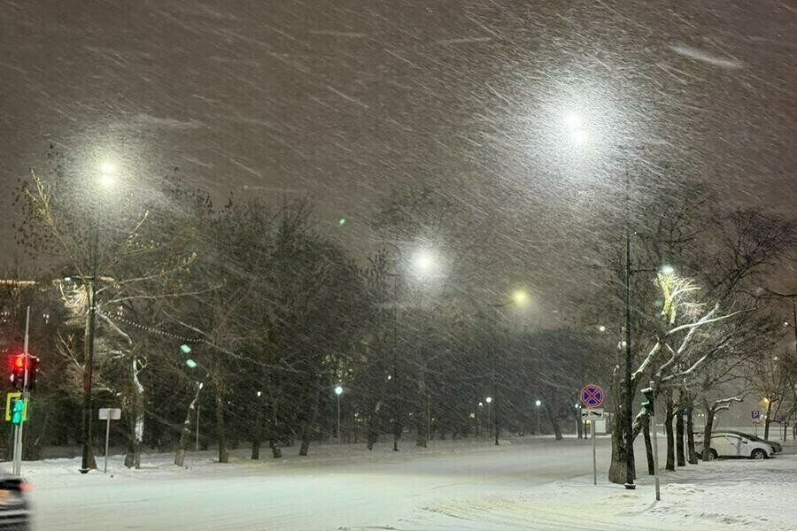 Сильный снег принесет циклон в Приамурье По югу введен желтый уровень опасности 
