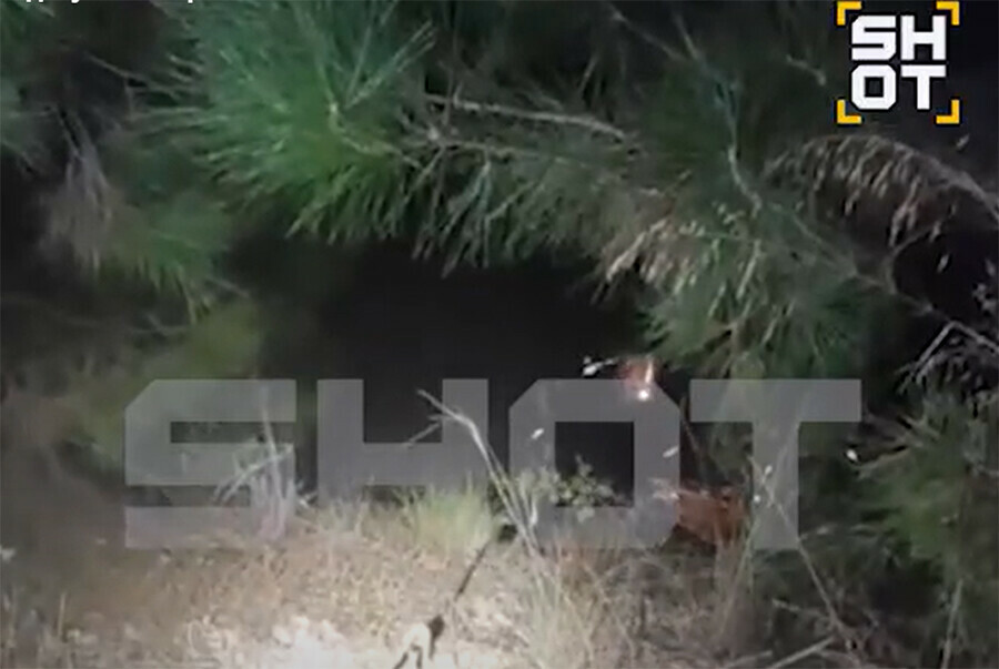 Парочка сорвалась с обрыва переломав в скалах руки и ноги видео