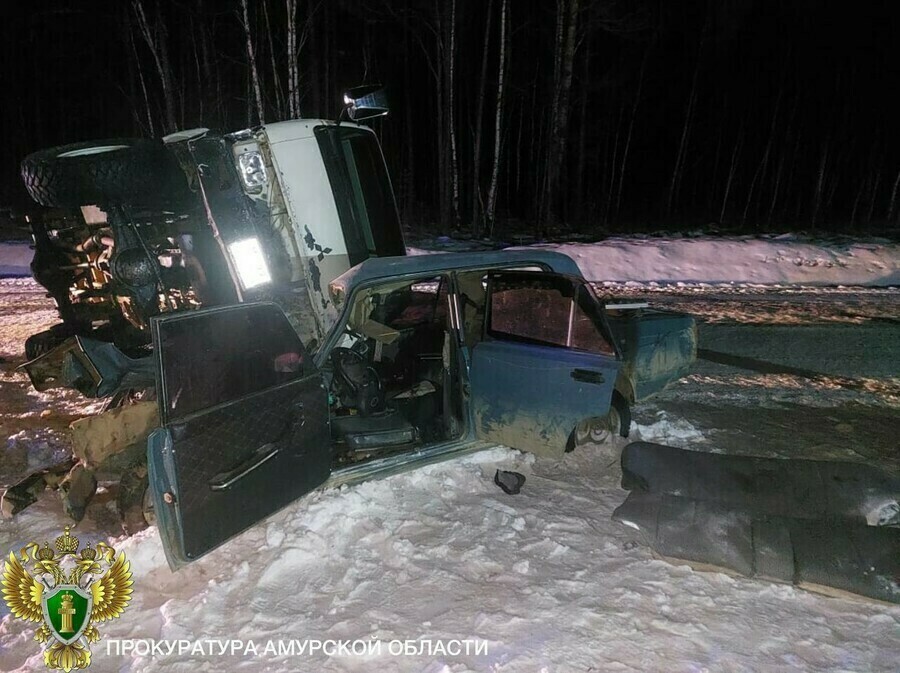 Пережил родителей на две недели скончался ребенок за жизнь которого боролись после пьяного ДТП в Амурской области