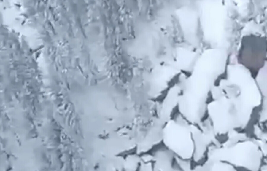 Спасатели в поисках семьи Усольцевых осмотрели все ходы и гроты пещеры под Красноярском 