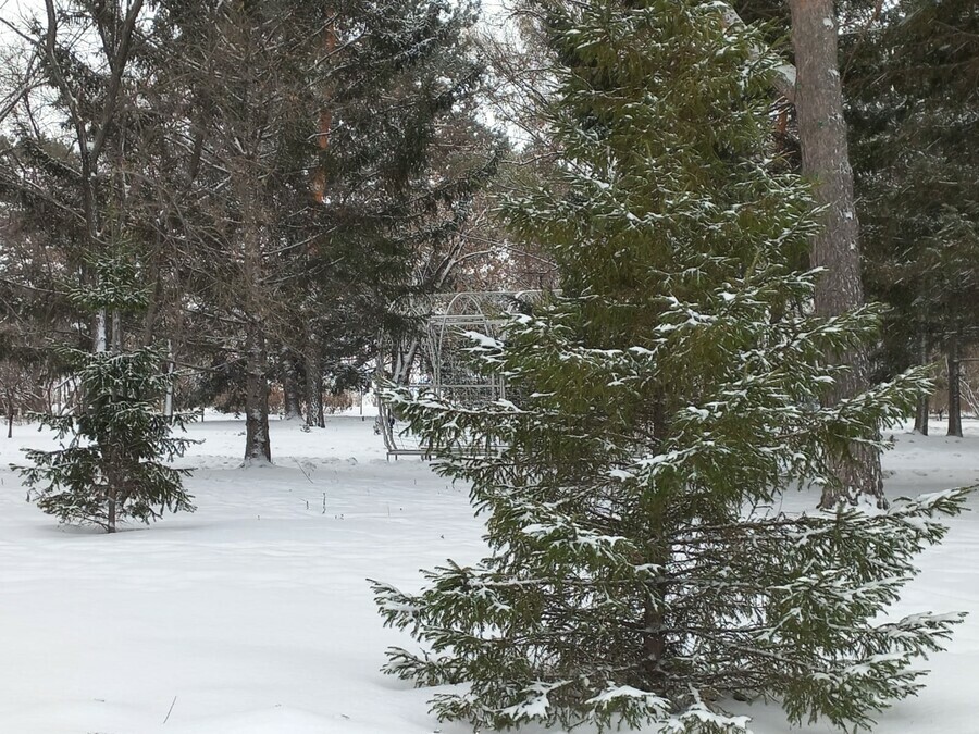 Прогноз погоды в Амурской области на 20 ноября