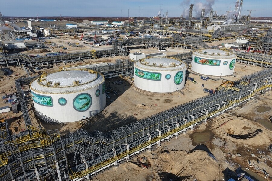 Гигантский артобъект появился в неожиданном месте Приамурья фото видео 