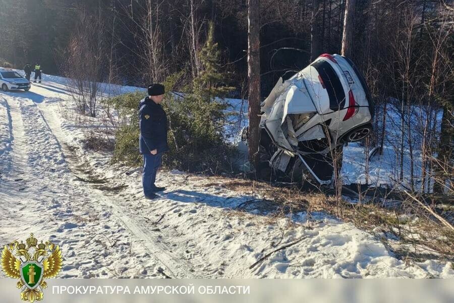 ДТП в Приамурье где погиб водитель и пострадали дети проверяет прокуратура 