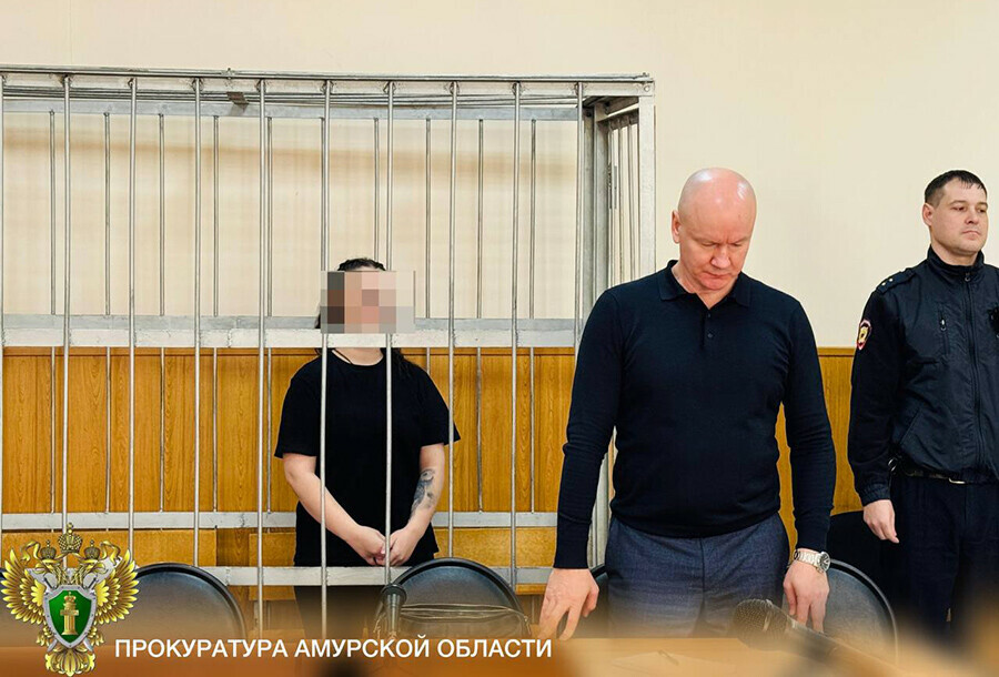 Вынесен приговор благовещенке ударившей брата шампуром в самое сердце видео