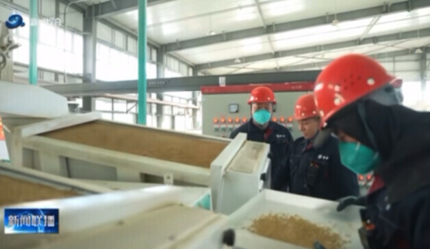 В Китае вырос спрос на овёс из России благодаря предприятию расположенному в Хэйхэ