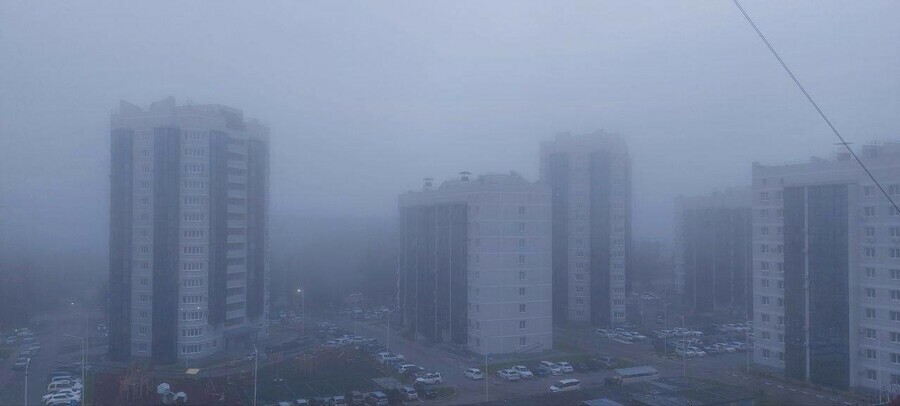 Амурская Госавтоинспекция напомнила о правилах движения в густом тумане