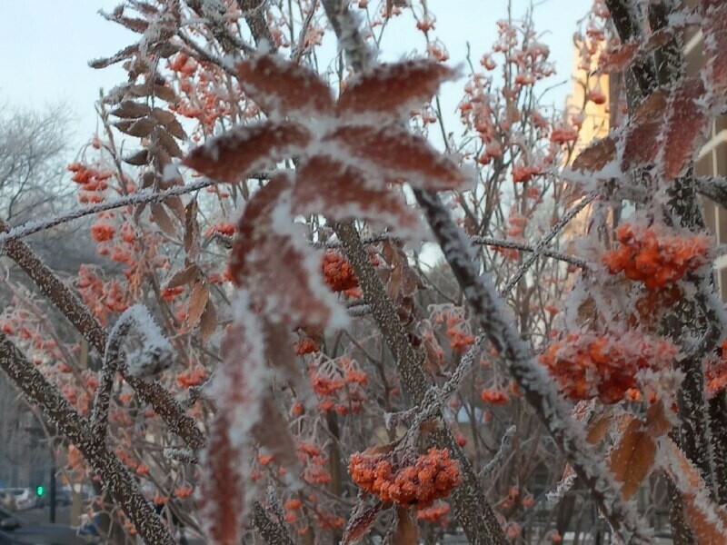 Прогноз погоды в Амурской области на 26 ноября