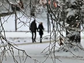 Догбоксы липы туалет Какой благовещенцы хотят видеть сороконожку 