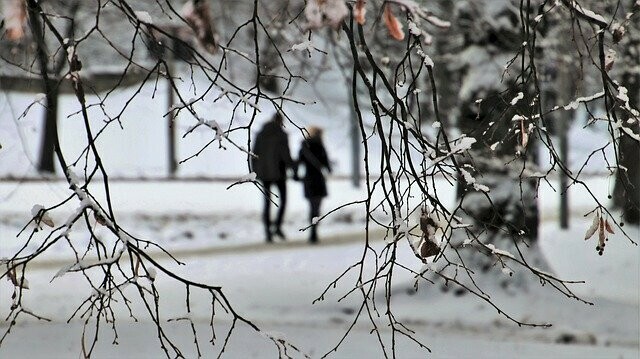 Догбоксы липы туалет Какой благовещенцы хотят видеть сороконожку 
