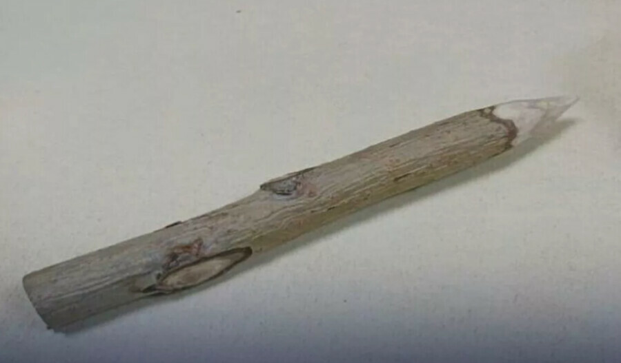 Женщина взяла на заседание суда осиновый кол