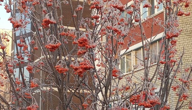 Прогноз погоды в Амурской области на 27 ноября