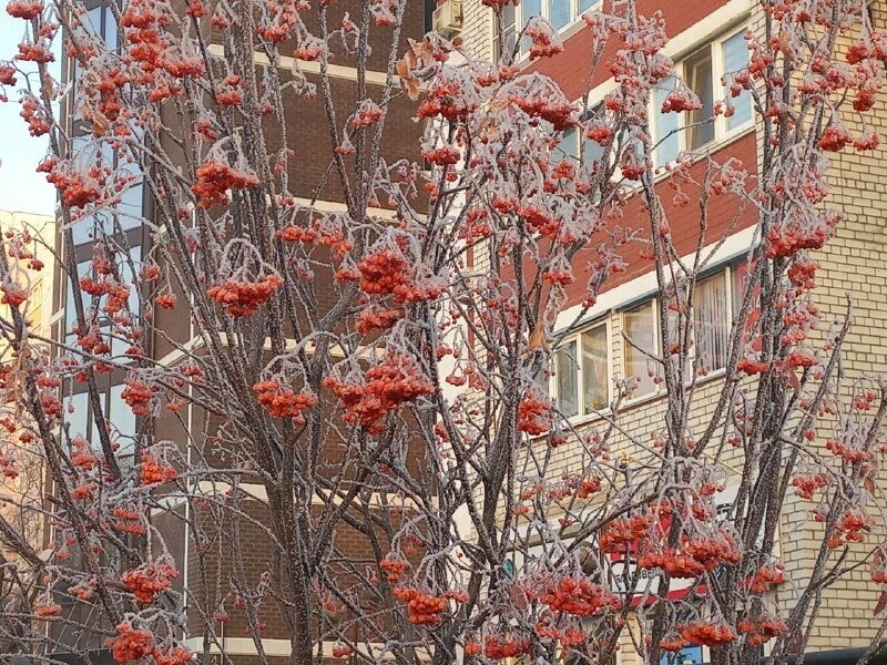 Прогноз погоды в Амурской области на 27 ноября